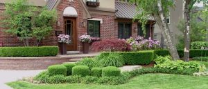 Lawn Service And Landscape Maintenance – Green Meadows Lawnscape